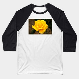 A Kiss From A Rose Baseball T-Shirt